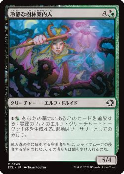 画像1: 冷静な樹林案内人/Stoic Grove-Guide 【日本語版】 [ECL-金C]