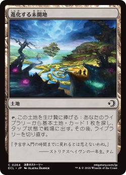画像1: 進化する未開地/Evolving Wilds 【日本語版】 [ECL-土地C]