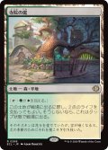 寺院の庭/Temple Garden 【日本語版】 [ECL-土地R]