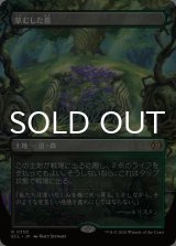 草むした墓/Overgrown Tomb (全面アート版) 【日本語版】 [ECL-土地R]