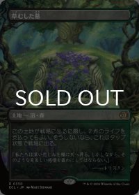 草むした墓/Overgrown Tomb (全面アート版) 【日本語版】 [ECL-土地R]