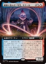創意に富んだ一年生、サナール/Sanar, Innovative First-Year (拡張アート版) 【日本語版】 [ECL-金R]
