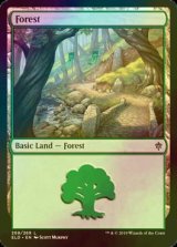 [FOIL] 森/Forest No.268 【英語版】 [ELD-土地C]