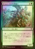 [FOIL] ギャレンブリグの聖騎士/Garenbrig Paladin 【日本語版】 [ELD-緑C]