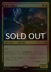 [FOIL] 嵐拳の聖戦士/Stormfist Crusader 【日本語版】 [ELD-金R]