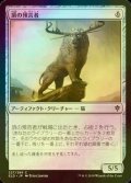 [FOIL] 頂の預言者/Prophet of the Peak 【日本語版】 [ELD-灰C]