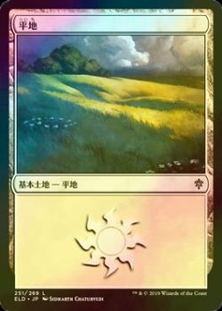 画像1: [FOIL] 平地/Plains No.251 【日本語版】 [ELD-土地C]