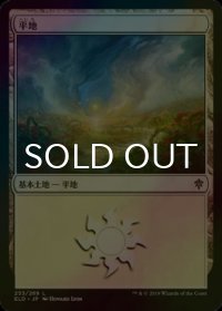 [FOIL] 平地/Plains No.253 【日本語版】 [ELD-土地C]