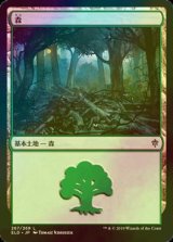 [FOIL] 森/Forest No.267 【日本語版】 [ELD-土地C]