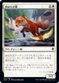羽ばたき狐/Flutterfox 【日本語版】 [ELD-白C]