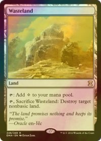 不毛の大地/Wasteland (EMA/土地R/英/foil/EX+) ※詳細要確認