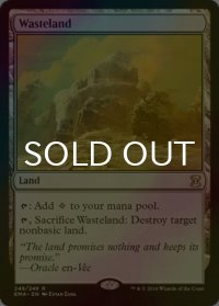 不毛の大地/Wasteland (EMA/土地R/英/foil/NM) ※詳細要確認