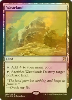 画像1: 不毛の大地/Wasteland (EMA/土地R/英/foil/NM) ※詳細要確認