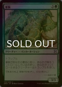[FOIL] 豪腕/Brawn 【日本語版】 [EMA-緑U]