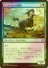 [FOIL] ケンタウルスの酋長/Centaur Chieftain 【日本語版】 [EMA-緑U]