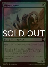 [FOIL] 敏捷なマングース/Nimble Mongoose 【日本語版】 [EMA-緑C]