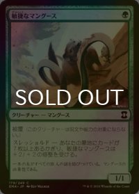 [FOIL] 敏捷なマングース/Nimble Mongoose 【日本語版】 [EMA-緑C]