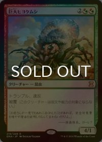 [FOIL] 巨大ヒヨケムシ/Giant Solifuge 【日本語版】 [EMA-金R]