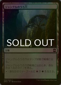 [FOIL] ジャングルのうろ穴/Jungle Hollow 【日本語版】 [EMA-茶C]