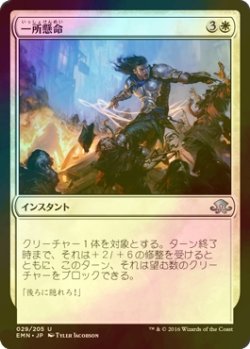 画像1: [FOIL] 一所懸命/Give No Ground 【日本語版】 [EMN-白U]