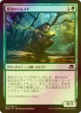 [FOIL] 原初のドルイド/Primal Druid 【日本語版】 [EMN-緑C]