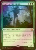 [FOIL] ウルヴェンワルドの観察者/Ulvenwald Observer 【日本語版】 [EMN-緑R]