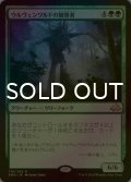 [FOIL] ウルヴェンワルドの観察者/Ulvenwald Observer 【日本語版】 [EMN-緑R]