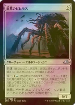 画像1: [FOIL] 溺墓のビヒモス/Drownyard Behemoth 【日本語版】 [EMN-無U]