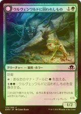 [FOIL] ウルヴェンワルドに囚われしもの/Ulvenwald Captive 【日本語版】 [EMN-緑C]