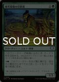事件現場の分析者/Aftermath Analyst 【日本語版】 [EOC-緑U]