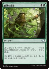 自然の知識/Nature's Lore 【日本語版】 [EOC-緑U]