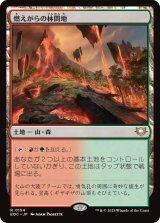 燃えがらの林間地/Cinder Glade 【日本語版】 [EOC-土地R]