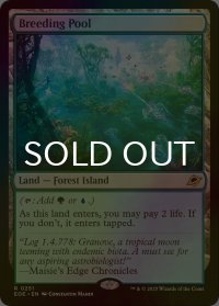 [FOIL] 繁殖池/Breeding Pool 【英語版】 [EOE-土地R]*詳細要確認