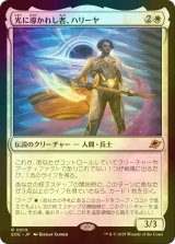 [FOIL] 光に導かれし者、ハリーヤ/Haliya, Guided by Light 【日本語版】 [EOE-白R]