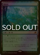 [FOIL] 繁殖池/Breeding Pool 【日本語版】 [EOE-土地R]*詳細要確認