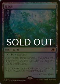 [FOIL] 繁殖池/Breeding Pool 【日本語版】 [EOE-土地R]*詳細要確認