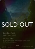 [FOIL] 繁殖池/Breeding Pool No.278 (全面アート・海外産ブースター版) 【英語版】 [EOE-土地R]*詳細要確認