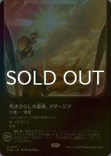 [FOIL] 吹きさらしの要塞、アダージア/Adagia, Windswept Bastion No.277 (全面アート・海外産ブースター版) 【日本語版】 [EOE-土地MR]*詳細要確認
