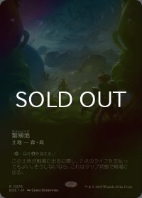 [FOIL] 繁殖池/Breeding Pool No.278 (全面アート・海外産ブースター版) 【日本語版】 [EOE-土地R]*詳細要確認
