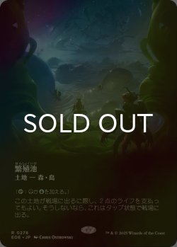 画像1: [FOIL] 繁殖池/Breeding Pool No.278 (全面アート・海外産ブースター版) 【日本語版】 [EOE-土地R]*詳細要確認