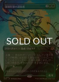 [FOIL] 強靭形態の調和者/Mightform Harmonizer (全面アート・海外産ブースター版) 【日本語版】 [EOE-緑R]*詳細要確認