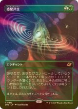 [FOIL] 惑星共生/Terrasymbiosis (全面アート・海外産ブースター版) 【日本語版】 [EOE-緑R]