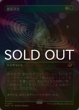 [FOIL] 惑星共生/Terrasymbiosis (全面アート・海外産ブースター版) 【日本語版】 [EOE-緑R]*詳細要確認