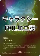 [FOIL] 繁殖池/Breeding Pool No.373 (全面アート版・ギャラクシー仕様) 《特価品》 【日本語版】 [EOE-土地R]