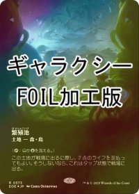 [FOIL] 繁殖池/Breeding Pool No.373 (全面アート版・ギャラクシー仕様) 《特価品》 【日本語版】 [EOE-土地R]