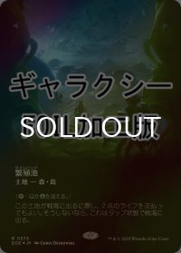 [FOIL] 繁殖池/Breeding Pool No.373 (全面アート版・ギャラクシー仕様) 【日本語版】 [EOE-土地R]*詳細要確認