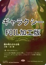[FOIL] 踏み鳴らされる地/Stomping Ground No.378 (全面アート版・ギャラクシー仕様) 《特価品》 【日本語版】 [EOE-土地R]