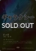 [FOIL] 湿った墓/Watery Grave No.381 (全面アート版・ギャラクシー仕様) 【日本語版】 [EOE-土地R]*詳細要確認