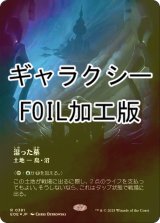[FOIL] 湿った墓/Watery Grave No.381 (全面アート版・ギャラクシー仕様) 《特価品》 【日本語版】 [EOE-土地R]