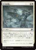 生存者探し/Scout for Survivors 【日本語版】 [EOE-白U]